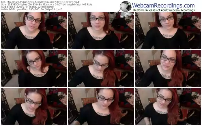 streamate-harleygin-webcam-show-02_15_2017-13_27_23