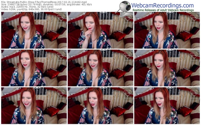 streamate-twothornedrose-webcam-show-02_21_2017-11_44_42
