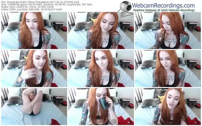 streamate-paigeblue-webcam-show-02_22_2017-01_35_00