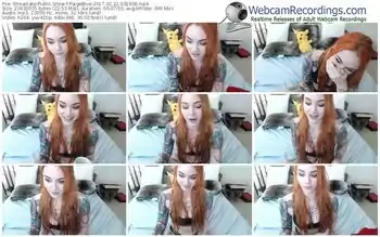 streamate-paigeblue-webcam-show-02_22_2017-03_19_58