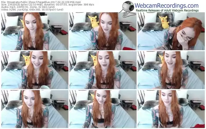 streamate-paigeblue-webcam-show-02_22_2017-03_19_58