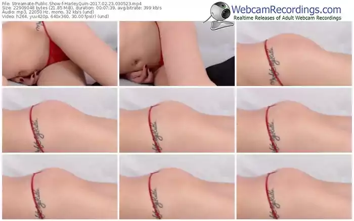 streamate-harleyquin-webcam-show-02_23_2017-03_05_23