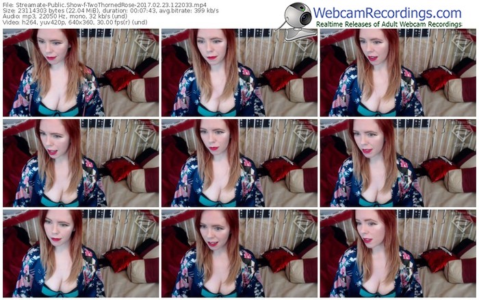 streamate-twothornedrose-webcam-show-02_23_2017-12_20_33