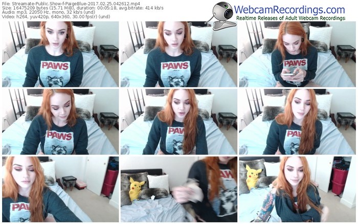 streamate-paigeblue-webcam-show-02_25_2017-04_26_12