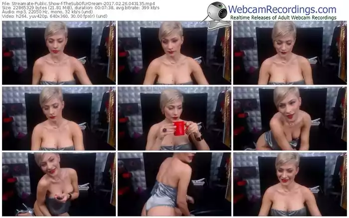 streamate-thesubofurdream-webcam-show-02_26_2017-04_31_35