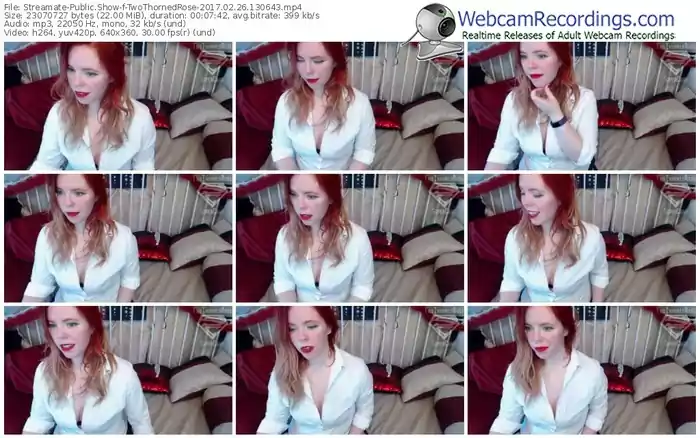 streamate-twothornedrose-webcam-show-02_26_2017-13_06_43