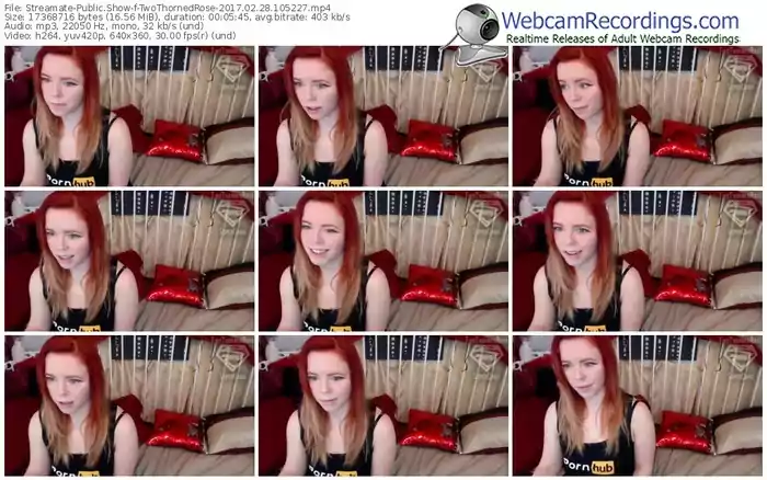 streamate-twothornedrose-webcam-show-02_28_2017-10_52_27