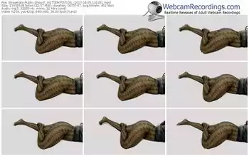 streamate-_hottemptation_-webcam-show-03_05_2017-13_19_31