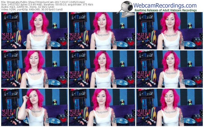 streamate-missquincam-webcam-show-03_07_2017-13_45_23