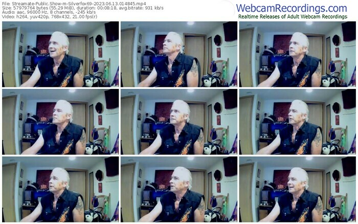 streamate-silverfox69-06-13-2023-01-48-45