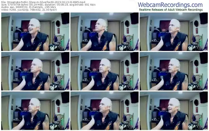 streamate-silverfox69-06-13-2023-01-48-45