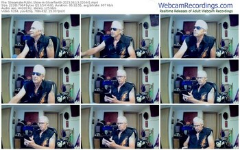streamate-silverfox69-06-13-2023-02-04-41