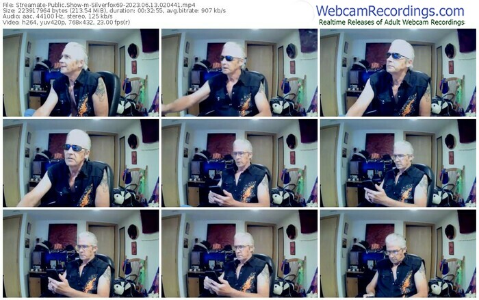 streamate-silverfox69-06-13-2023-02-04-41