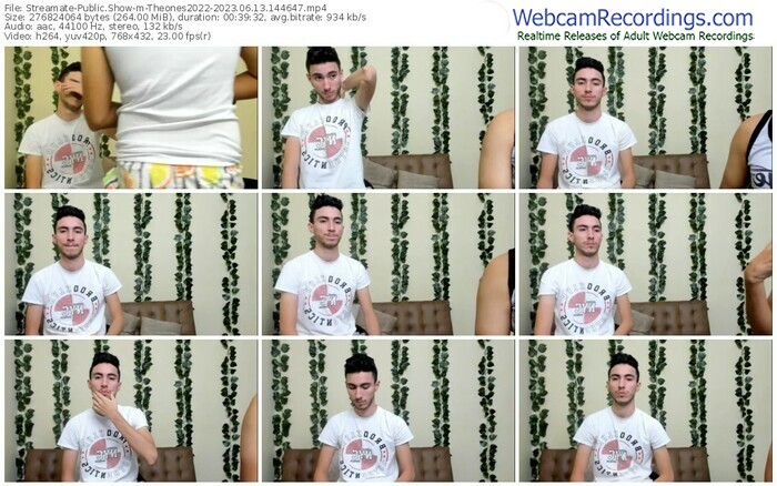 streamate-theones2022-06-13-2023-14-46-47