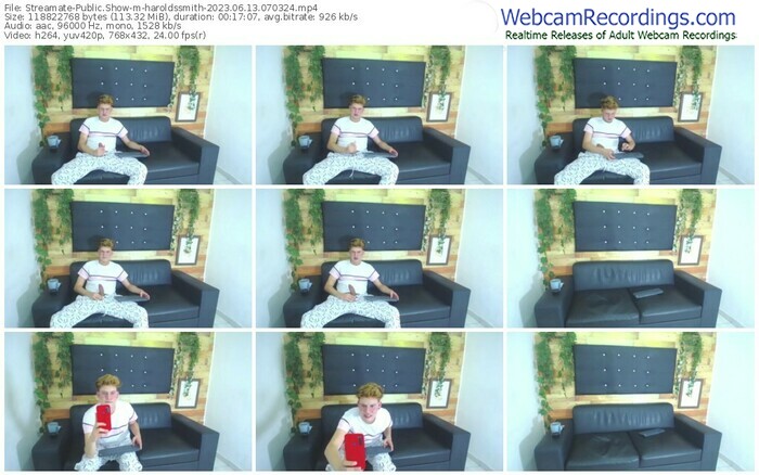 streamate-haroldssmith-06-13-2023-07-03-24