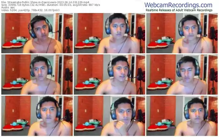 streamate-davislewis-06-14-2023-03-12-29