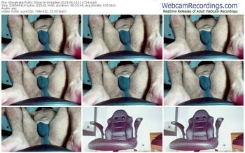 streamate-sirkadee-06-14-2023-11-47-24