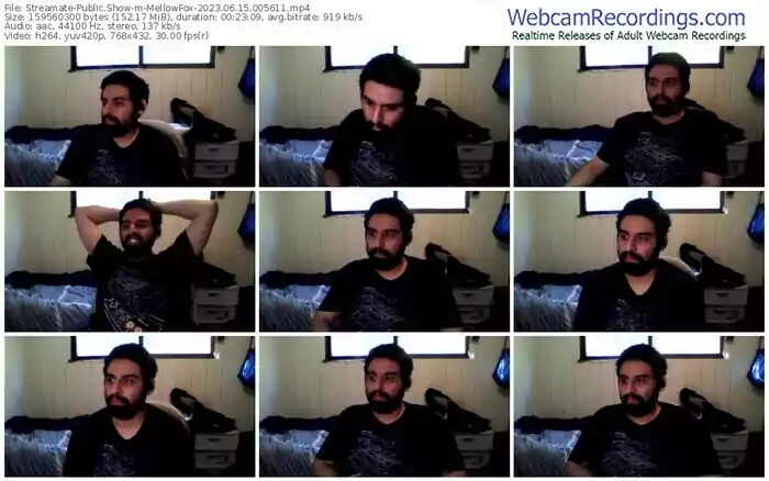 streamate-mellowfox-06-15-2023-00-56-11