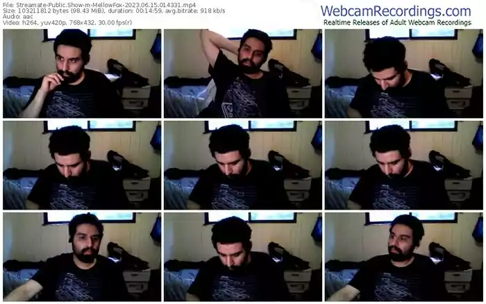 streamate-mellowfox-06-15-2023-01-43-31