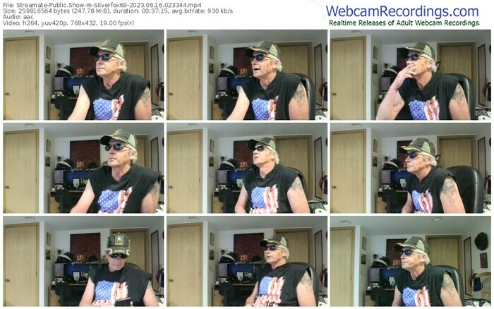 streamate-silverfox69-06-16-2023-02-33-44