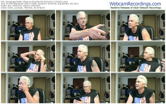 streamate-silverfox69-06-17-2023-03-56-21