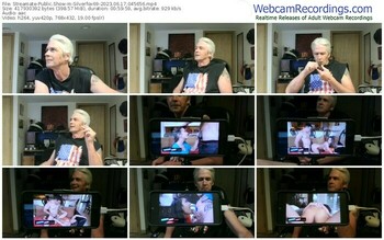 streamate-silverfox69-06-17-2023-04-56-56