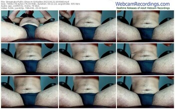 streamate-sirkadee-06-21-2023-00-49-48