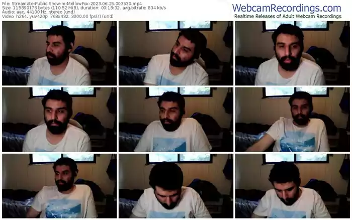 streamate-mellowfox-06-25-2023-00-35-30