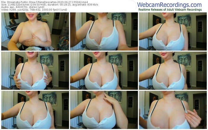 streamate-renedescartes-06-27-2023-15-53-42