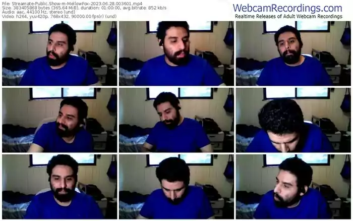 streamate-mellowfox-06-28-2023-00-36-01