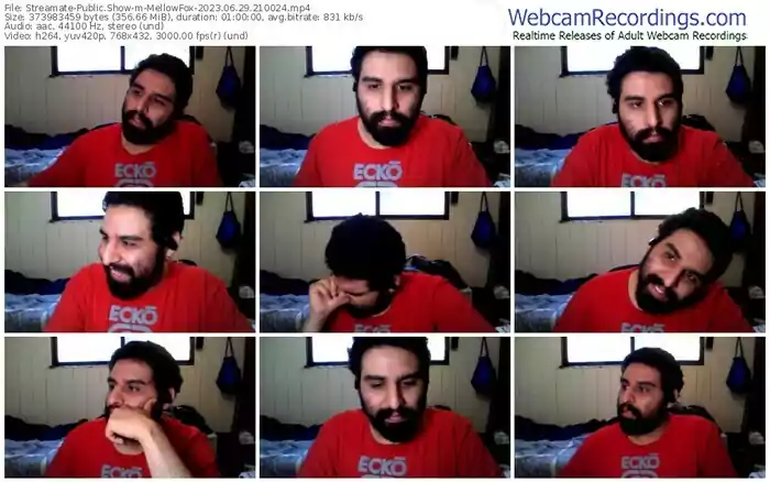 streamate-mellowfox-06-29-2023-21-00-24