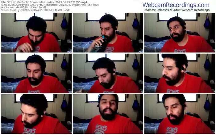 streamate-mellowfox-06-29-2023-22-18-55