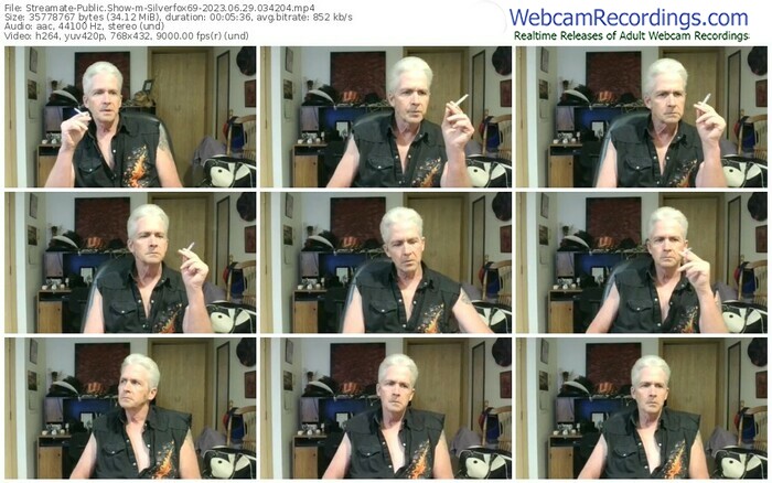 streamate-silverfox69-06-29-2023-03-42-04