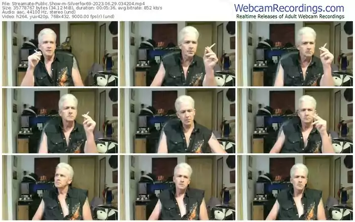 streamate-silverfox69-06-29-2023-03-42-04