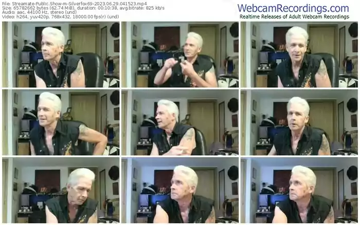streamate-silverfox69-06-29-2023-04-15-23