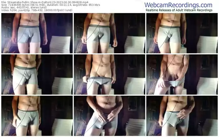 streamate-dalton123-06-30-2023-08-48-28