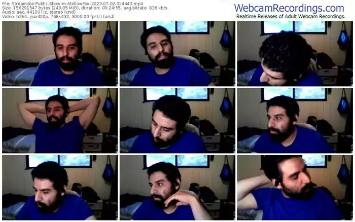 streamate-mellowfox-07-02-2023-01-44-43