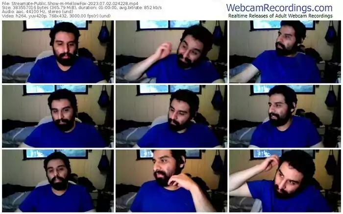 streamate-mellowfox-07-02-2023-02-42-28