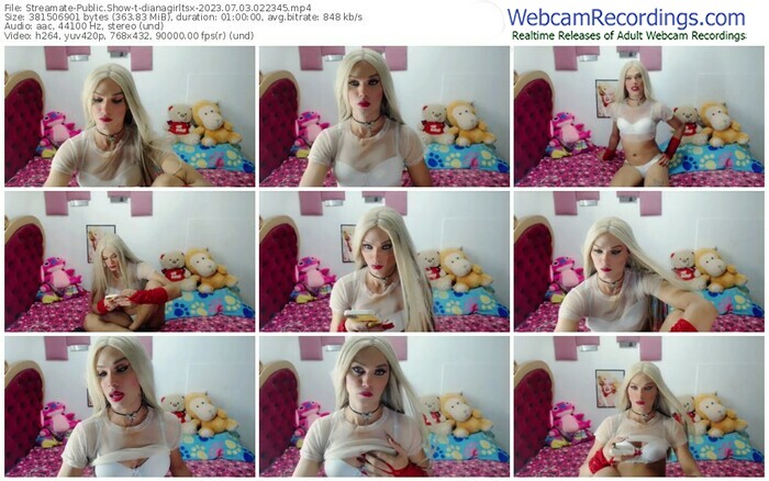 streamate-dianagirltsx-07-03-2023-02-23-45