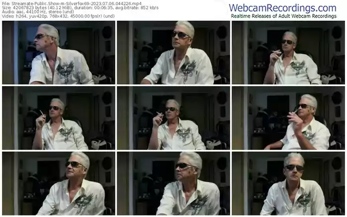 streamate-silverfox69-07-06-2023-04-42-26