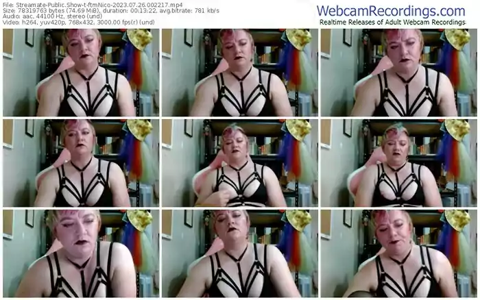 streamate-ftmnico-07-26-2023-00-22-17