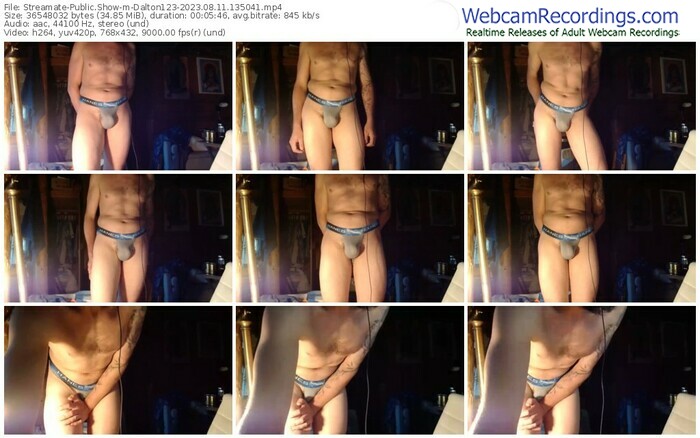 streamate-dalton123-08-11-2023-13-50-41