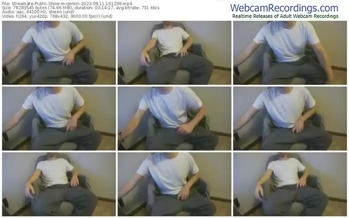 streamate-ijerkin-08-11-2023-16-12-38