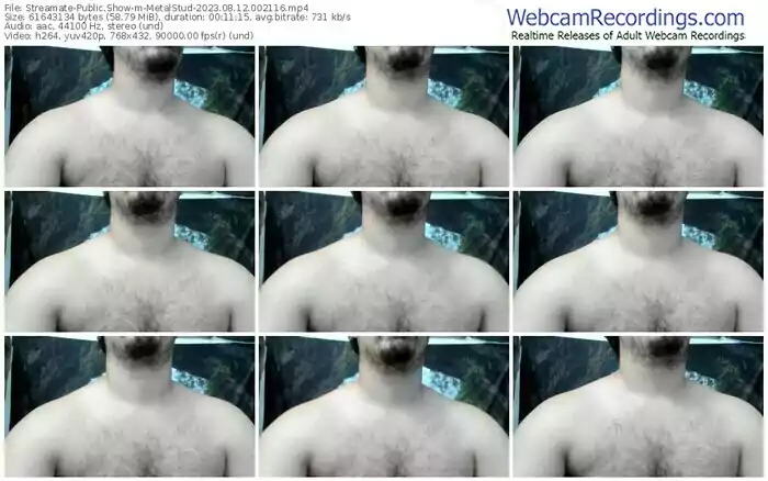 streamate-metalstud-08-12-2023-00-21-16