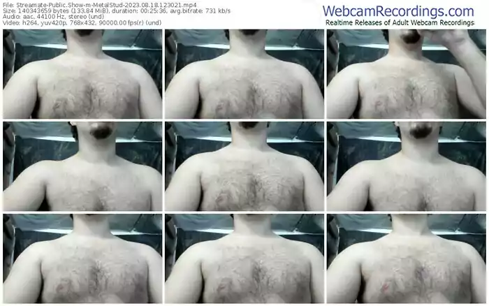 streamate-metalstud-08-18-2023-12-30-21