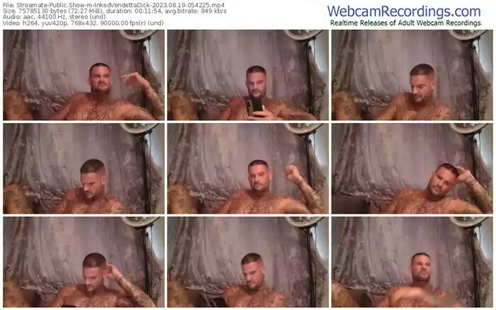 streamate-inkedvendettadick-08-19-2023-05-42-25