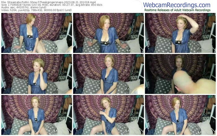 streamate-theakgingersnaps-08-21-2023-20-10-18