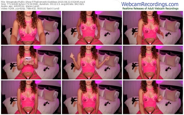 streamate-thedomesticgoddess-08-22-2023-03-24-45