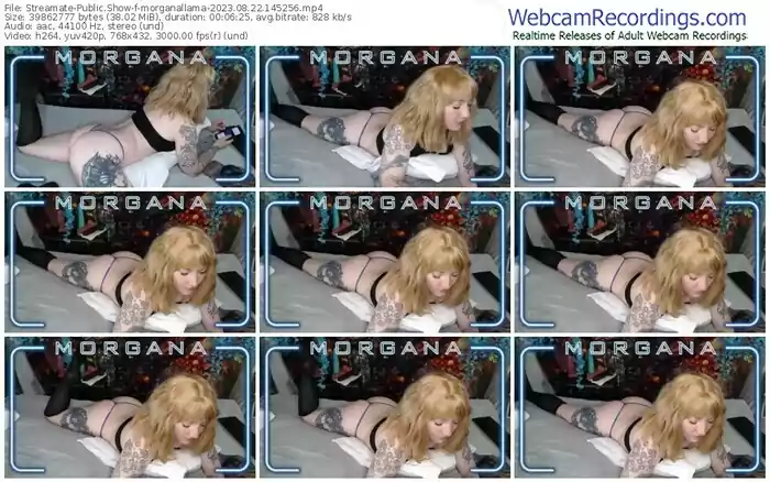 streamate-morganallama-08-22-2023-14-52-56
