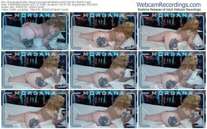streamate-morganathellama-09-08-2023-19-34-47